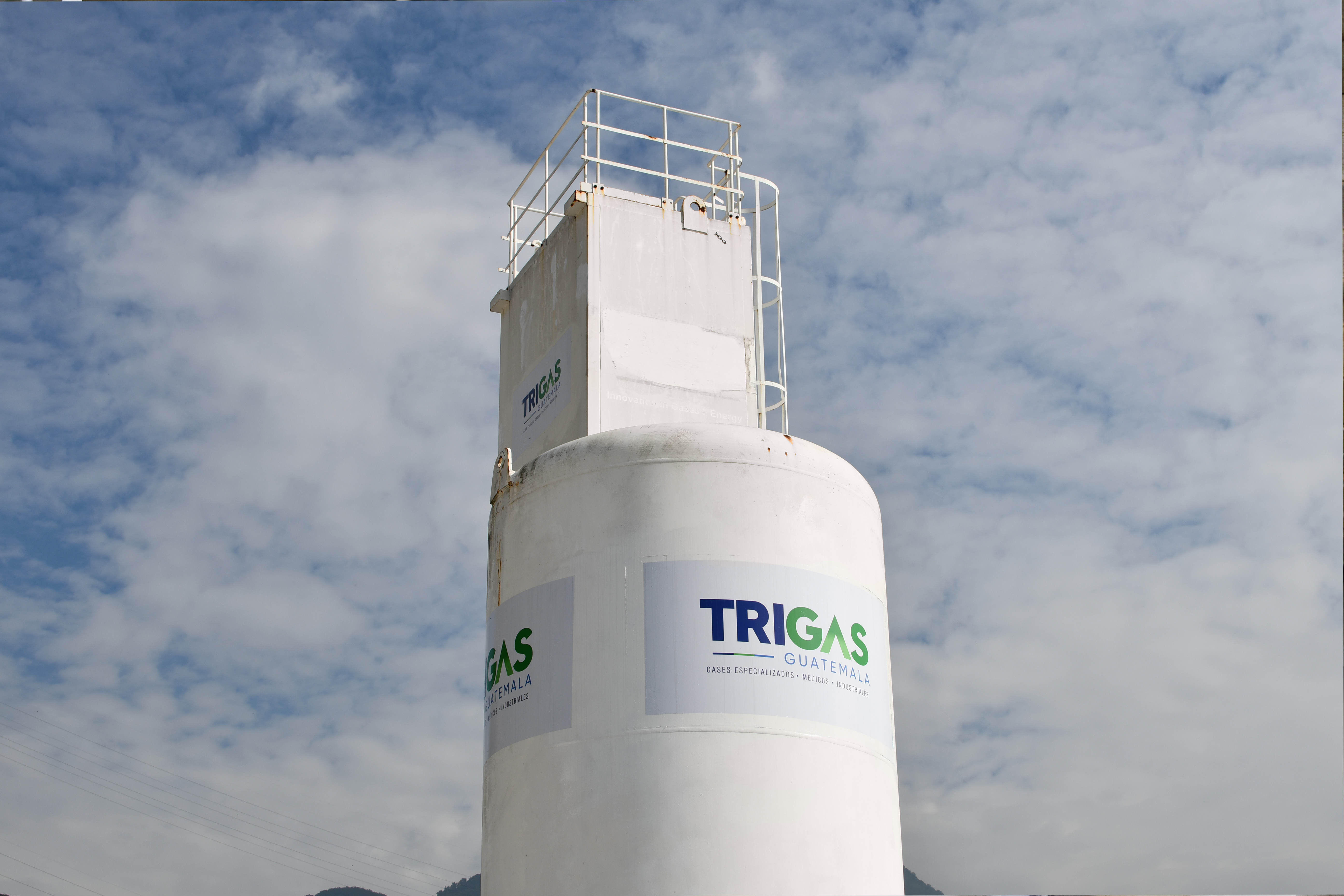 Pureza trigasgt 3358